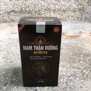Nam Thận Vương Power