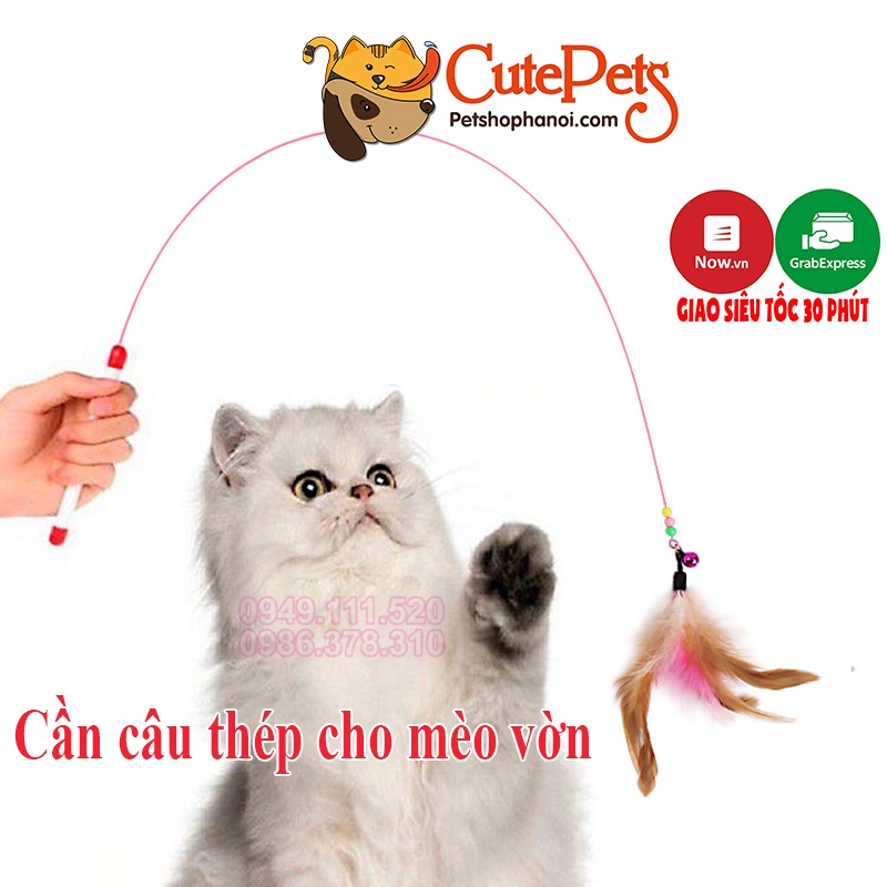 Đồ chơi cho mèo cần câu bằng thép gắn lông dành cho mèo - Phụ kiện thú cưng Hà Nội