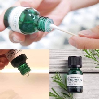 Tinh dầu tràm trà giảm mụn tea tree oil the body shop