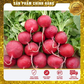 COMBO 10 HẠT GIỔNG RAU CHO BÉ ĂN DẶM 02