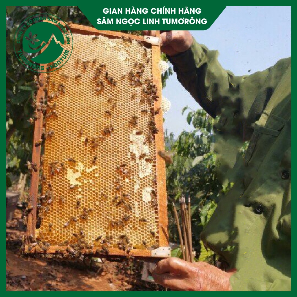 Mật Ong Hoa Cà Phê - Mật Ong Nguyên Chất 100% - Mật Ong Tự Nhiên Tumorong