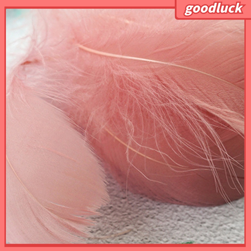 Bộ 100 Lông Vũ Nhiều Màu Sắc Dùng Trang Trí Thủ Công DIY