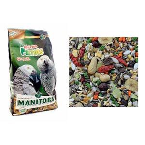 Hạt cho vẹt xám Châu Phi Manitoba Ý