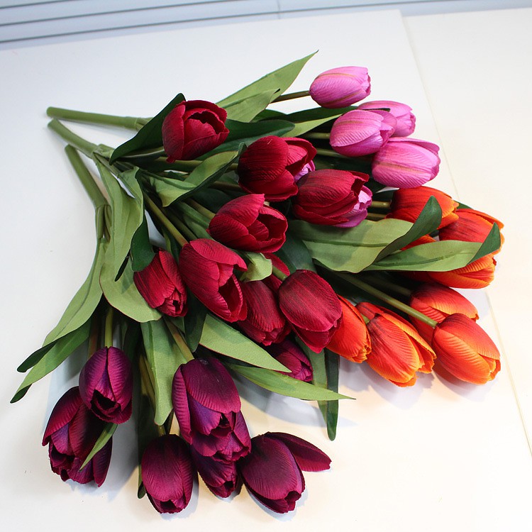 Chùm hoa tulip