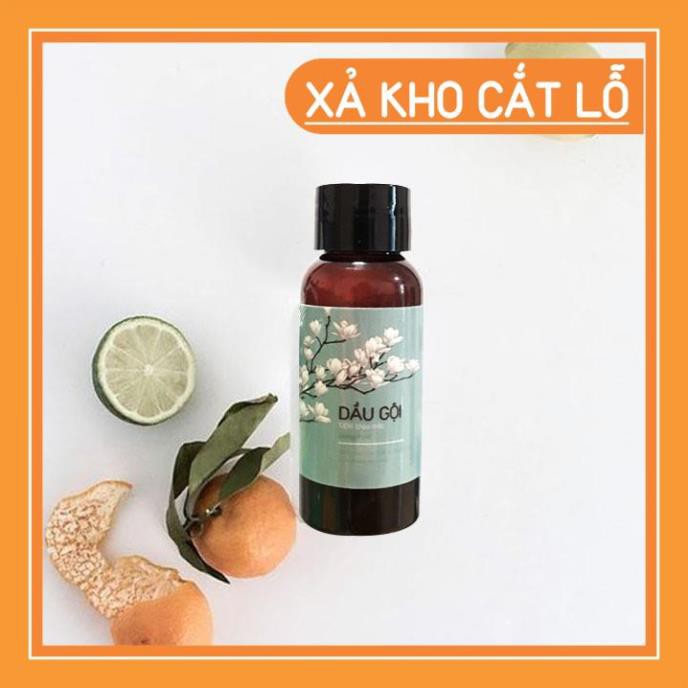 30ml Dầu Gội Thảo Mộc Gừng Tươi Dùng Cho Du Lịch Dầu Gội Mộc Trà Làm Sạch Da Đầu Giúp Tóc Chắc Khỏe Kích thích mọc tóc