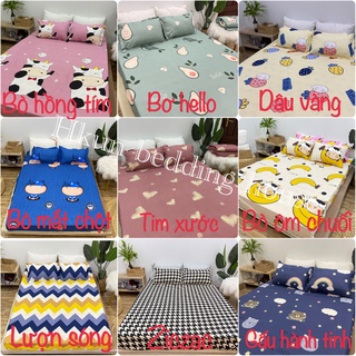 Bộ ga gối 1 ga 2 vỏ gối