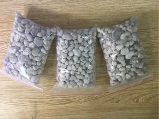 Seachem Matrix (Túi 100ml/330ml)