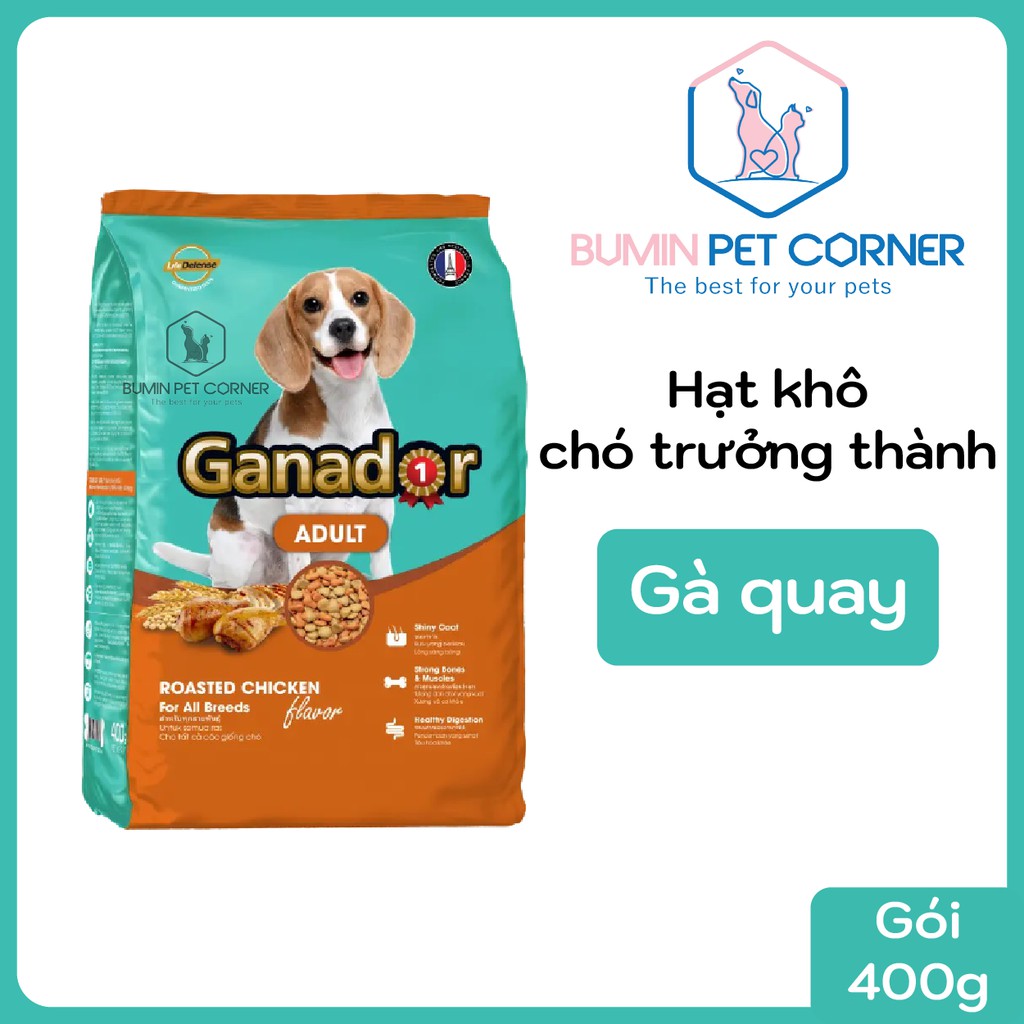 Ganador Adult Chicken 400g - Thức ăn hạt khô cho chó trưởng thành Ganador vị Gà quay gói 400g