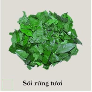 500gr cây sói rừng khô hàng chuẩn xịn, thơm ngon