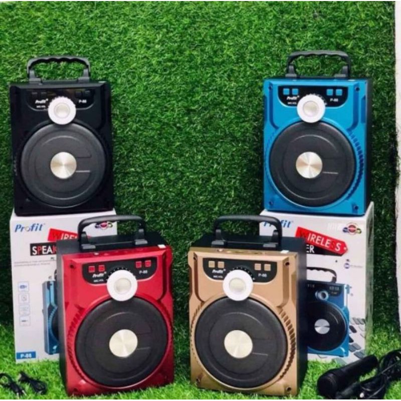Loa hát Nhạc Hát karaoke Bluetooth P88.