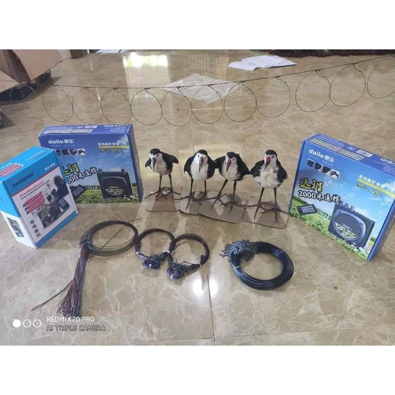 Thòng Dây Cuốc Bịp