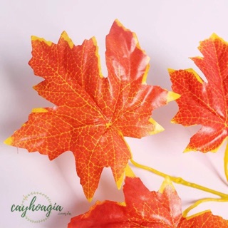 🍁 lá phong đỏ - phụ kiện chụp ảnh sản phẩm 🍂