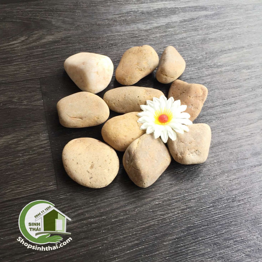 1 kg đá sỏi lớn màu nâu trang trí bể cá sân vườn, chặn giấy