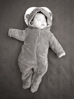 Body gấu  xuất dư