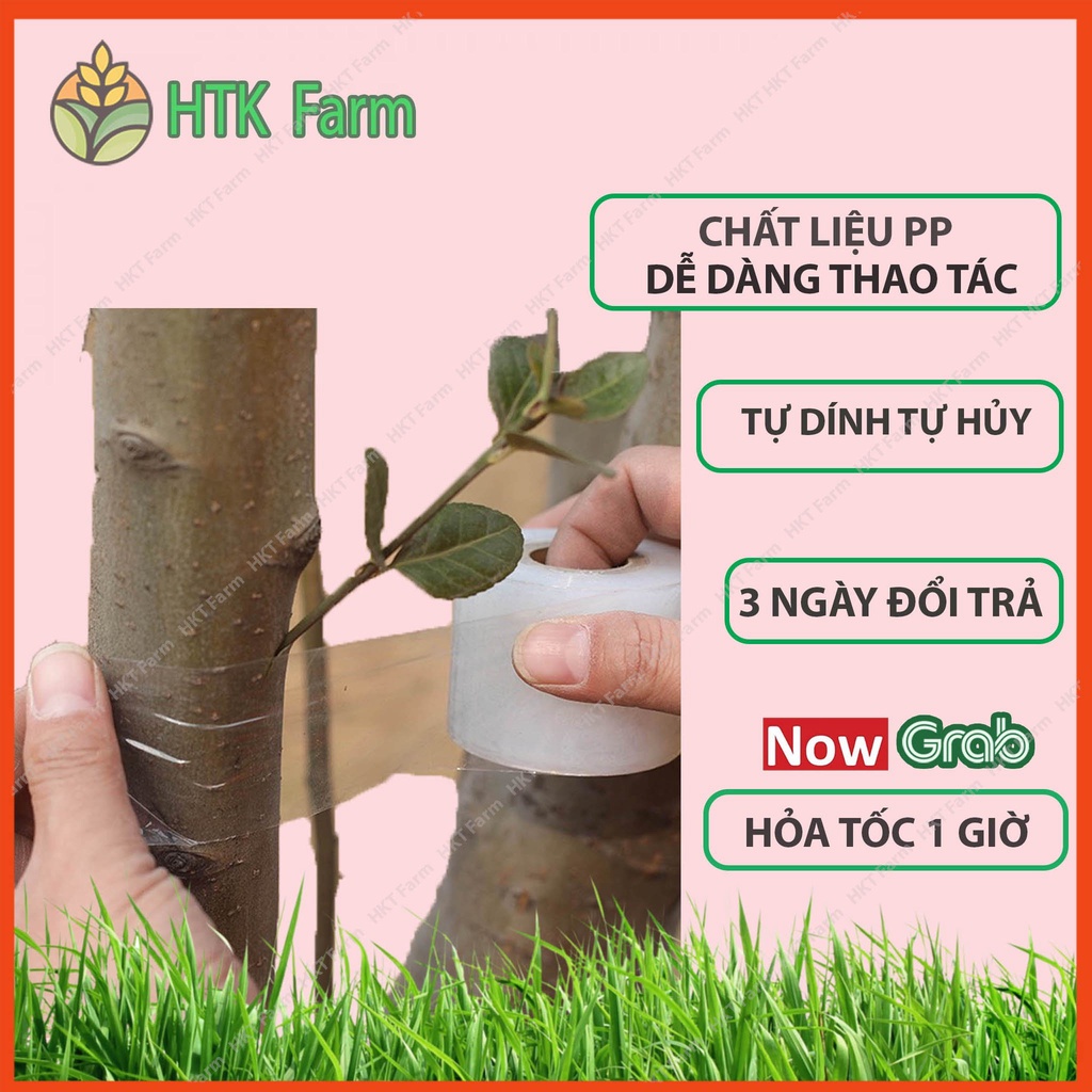 Băng Keo Ghép Cây 5cm*150m - Tự Dính Tự Hủy giúp bảo vệ mối ghép, nhanh liền - Tăng tỷ lệ sống của mối cây ghép