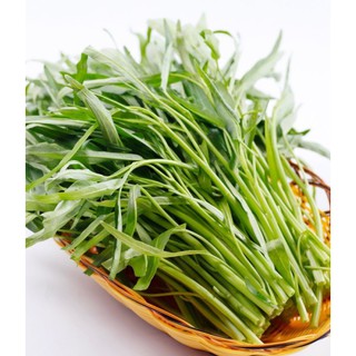 HẠT GIỐNG RAU MUỐNG LÁ TRE 100GR