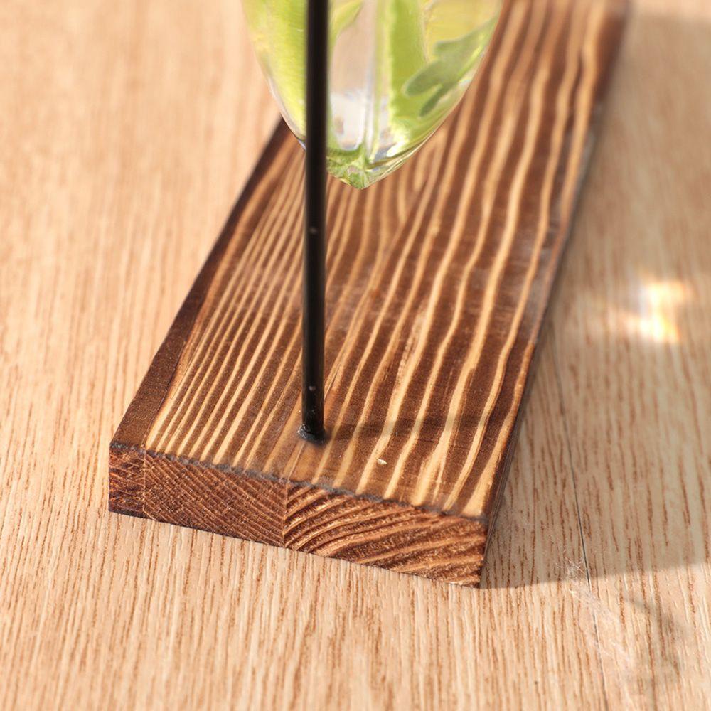 WATTLE Chậu Cây Thủy Canh Phong Cách Bắc Âu Dùng Để Trang Trí Nhà