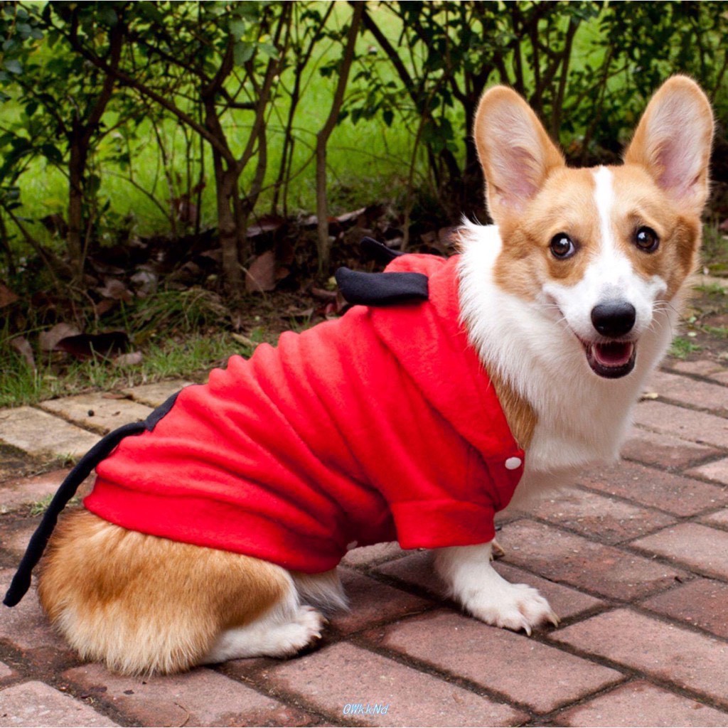 Áo đỏ sừng đen chất liệu lông mềm mại ấm áp, áo cho chó, áo cho mèo