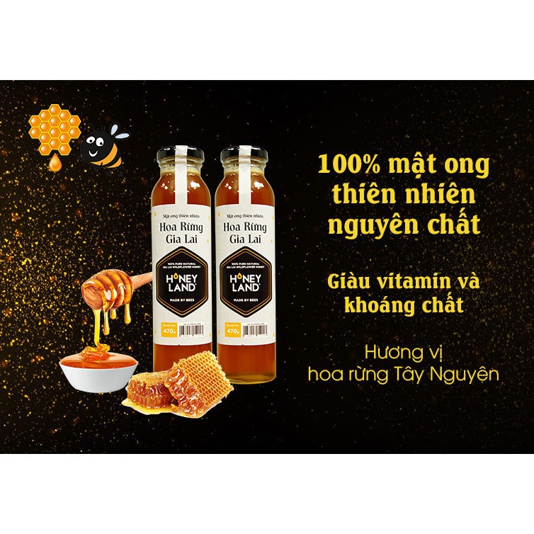 [Mật ong HONEYLAND] - Combo 4 chai mật ong Gia Lai (470g/chai) Tặng 3 chai Mật ong Điện Biên(380g/chai)