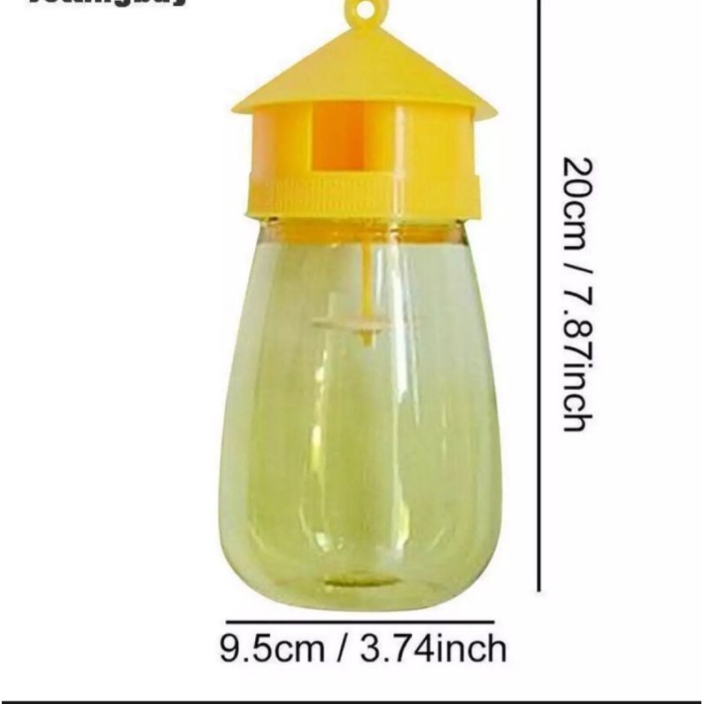 Combo 5 đèn bắt ruồi vàng đã bao gồm dẫn dụ