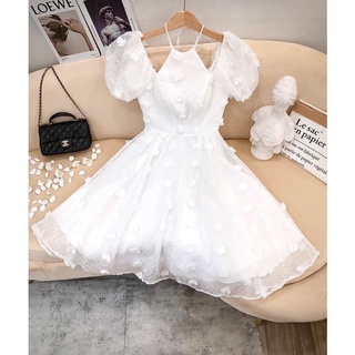 Đầm xòe hoa nổi D161