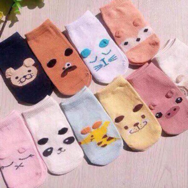 Combo 05 Tất Pony Kid Phong Cách Hàn Quốc Cho Bé