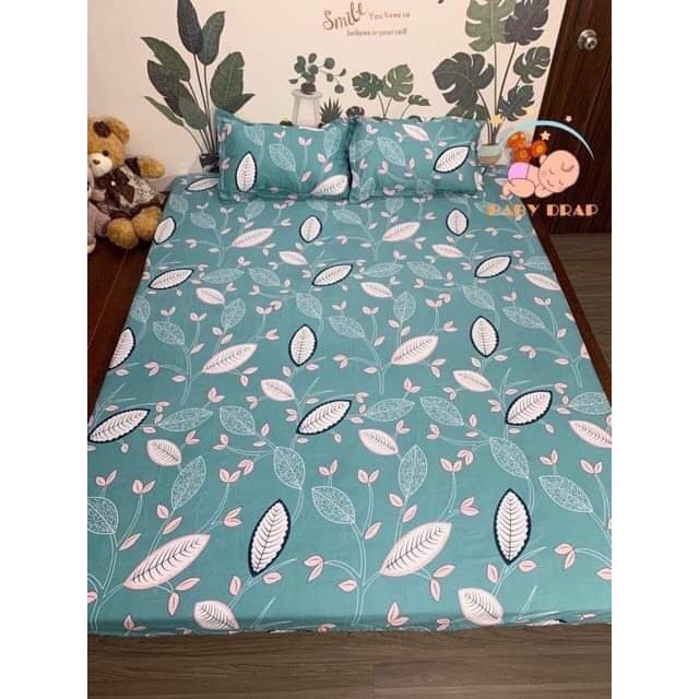 Ga Trải Giường Cotton Poly,và hai võ gối nầm  m2 m6 m8 2m2  Ga Nệm Drap Giường Đủ Size Đủ Màu