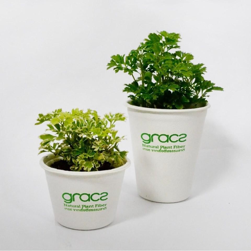 50 chén, tô, hủ nhỏ, hộp đựng nước sốt, nước chấm  làm từ bã mía L048 (115ml) luôn nắp nhựa thân thiện với mội trường