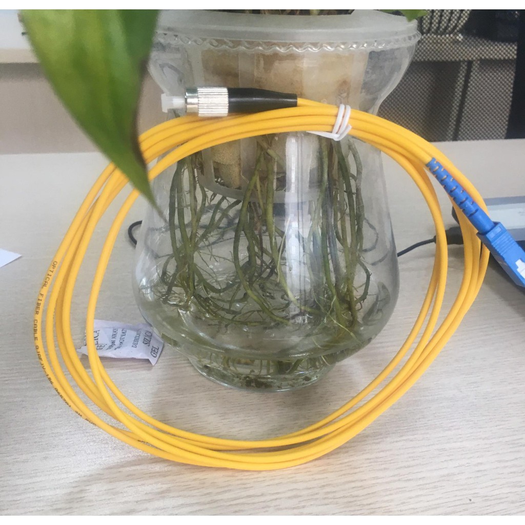 Dây nhảy quang SC - FC 3 mét