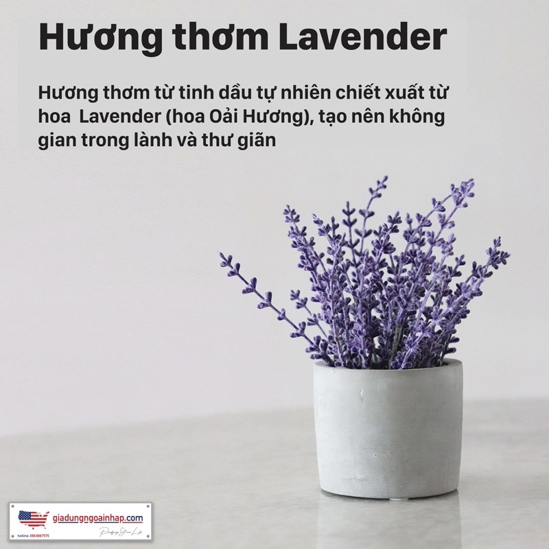 Nước làm sạch sinh học đa năng 𝗣𝗿𝗼𝗯𝗶𝗼𝘁𝗶𝗰𝘀 𝗔𝗹𝗹-𝗣𝘂𝗿𝗽𝗼𝘀𝗲 𝗖𝗹𝗲𝗮𝗻𝗶𝗻𝗴 𝗖𝗼𝗻𝗰𝗲𝗻𝘁𝗿𝗮𝘁𝗲