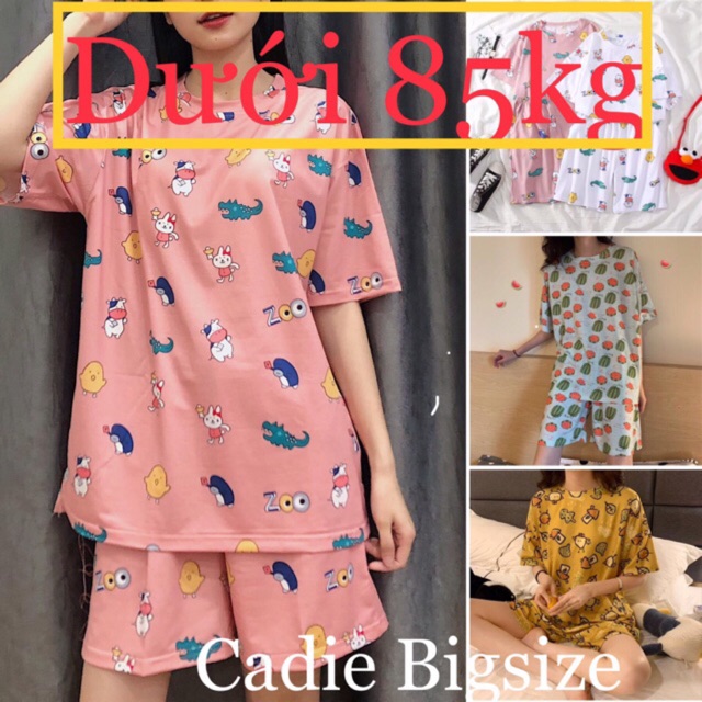 Bộ đồ mặc nhà BIGSIZE 85 KG phong cách Hàn Quốc với chất liệu thoáng mát kèm họa tiết ICON siêu dễ thương, CADIE HOUSE