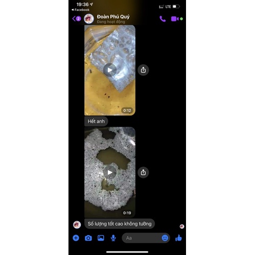 Flare - Dung dịch dưỡng và ép cá Betta