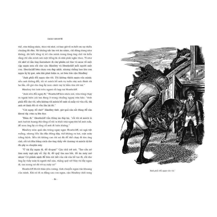 Sách - Đỉnh Gió Hú (Bìa Mềm)
