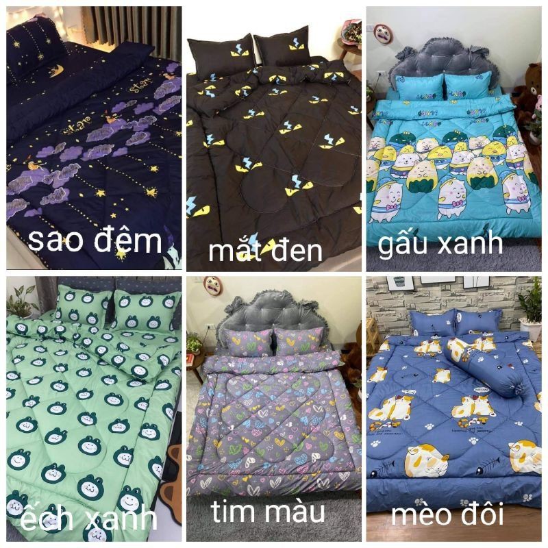 Bộ 5 Ga Gối Chăn Phao Trần Bông Dày Poly Cotton loại 1 Chăn Bông Như Hình Nhiều Mẫu Mới ( Nhắn Chọn Mẫu)