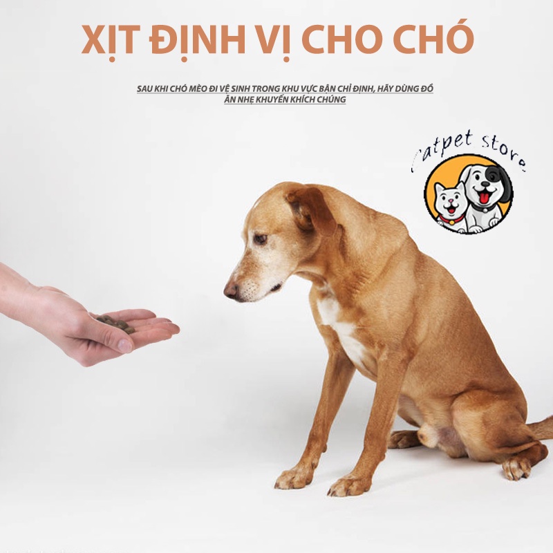 Xịt hướng dẫn vệ sinh chó mèo,Xịt hướng dẫn giúp thú cưng vệ sinh đúng chỗ