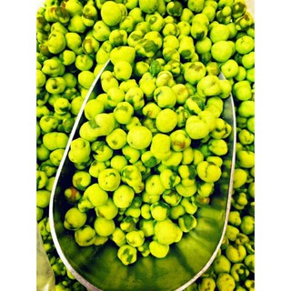 Đậu Hà Lan vị Wasabi ( cay mù tạt)