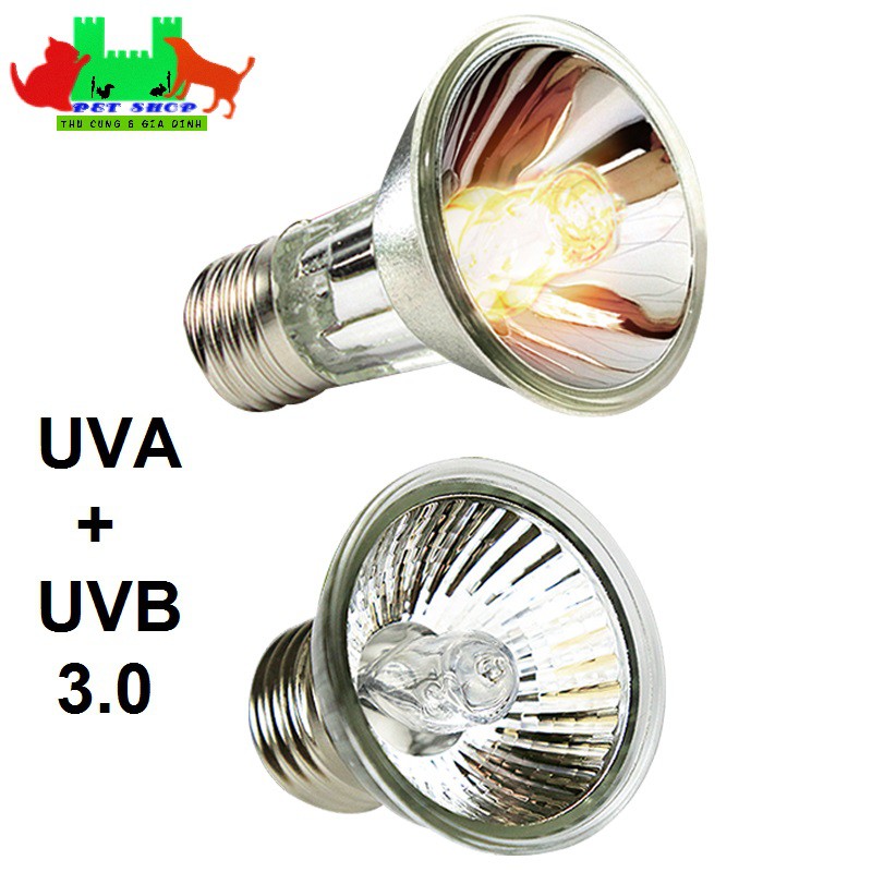 Đèn UVA+ UVB 3.0 BÓNG 50W