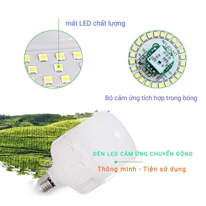 Bóng đèn led cảm biến chuyển động radar vi sóng hãng Crealed