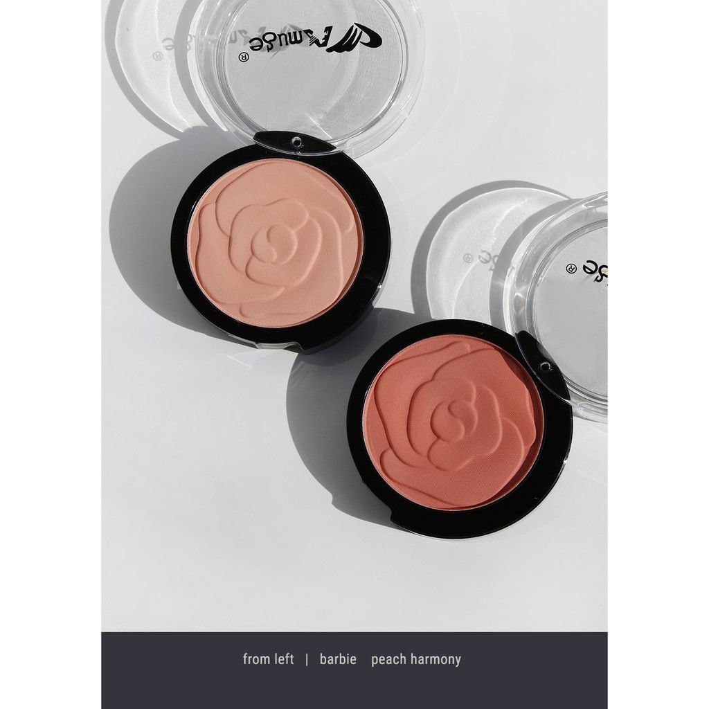 PHẤN MÁ HỒNG AMUSE ROSE MATTE BLUSH