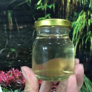 Dầu dừa nguyên chất