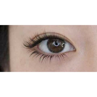 Serum mọc dày,dài mi,lông mày