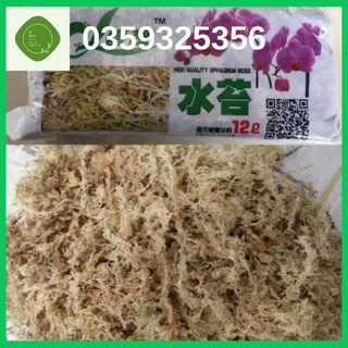 Tảo nén Nhật dớn trắng trồng lan giúp giữ ẩm 120g