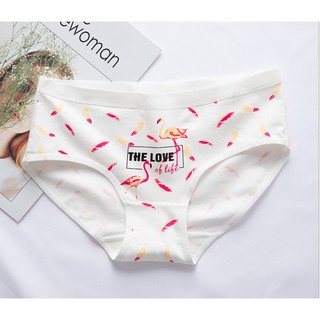 quần lót cotton dễ thương (combo 4 quần giảm giá)