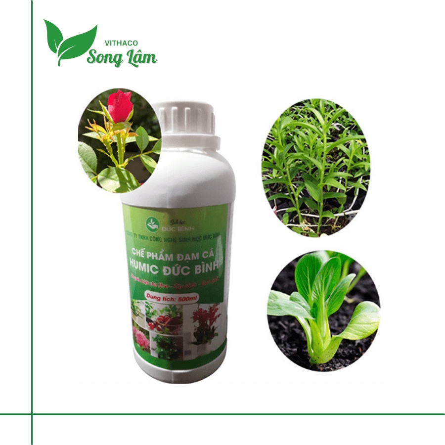 Chế phẩm đạm cá humic Đức Bình phun tưới rau quả, hoa, cây cảnh