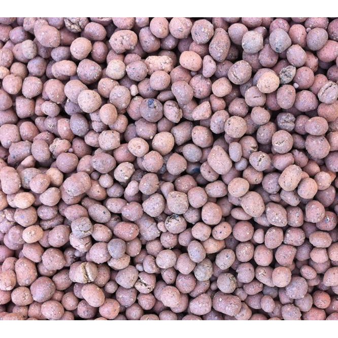 Sỏi nhẹ  chuyên trồng lan, rau, xương rồng, cây cảnh size 1-1.5cm 1kg