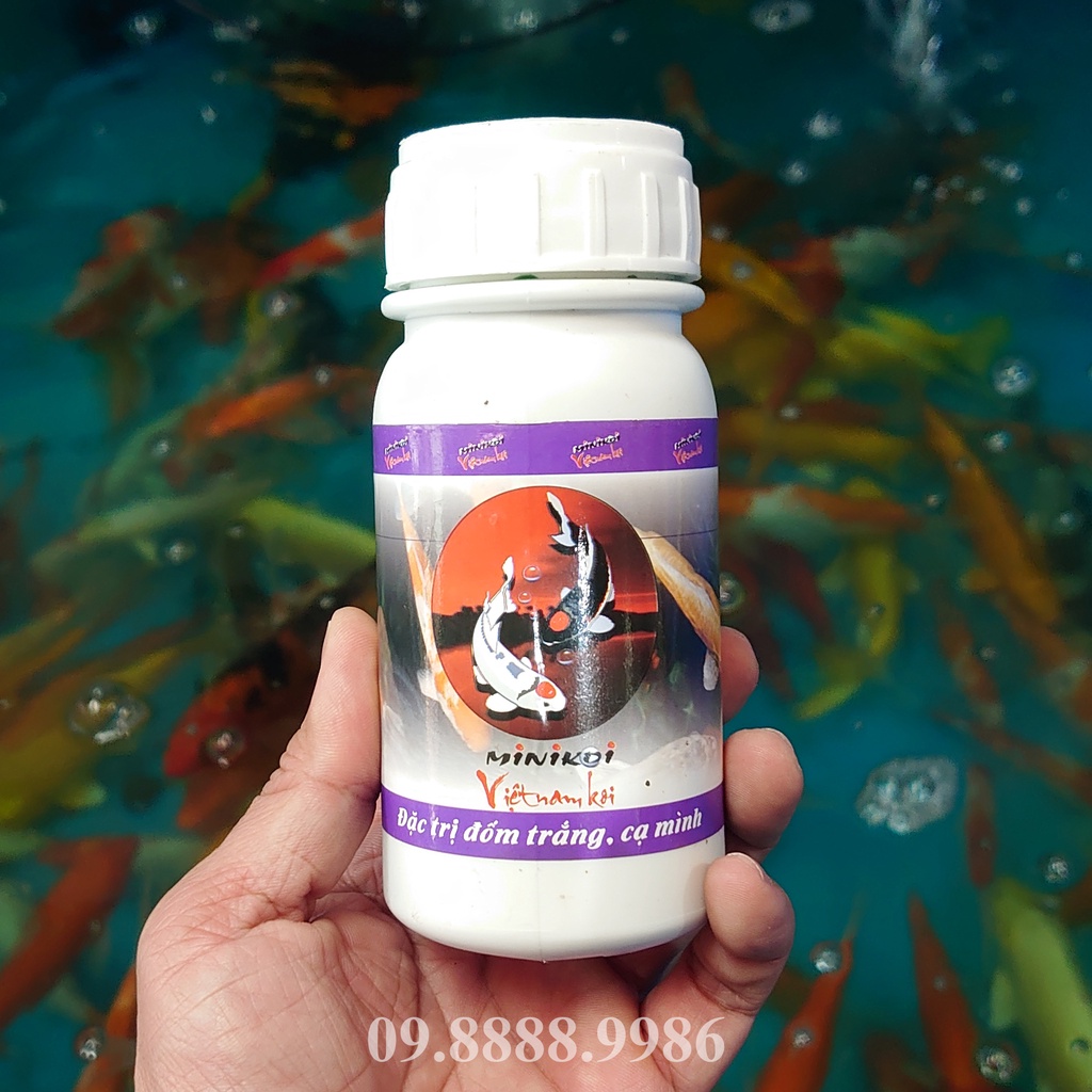 Thuốc đặc trị cạ mình - nấm đốm trắng Cá Koi - KOI FISH 02