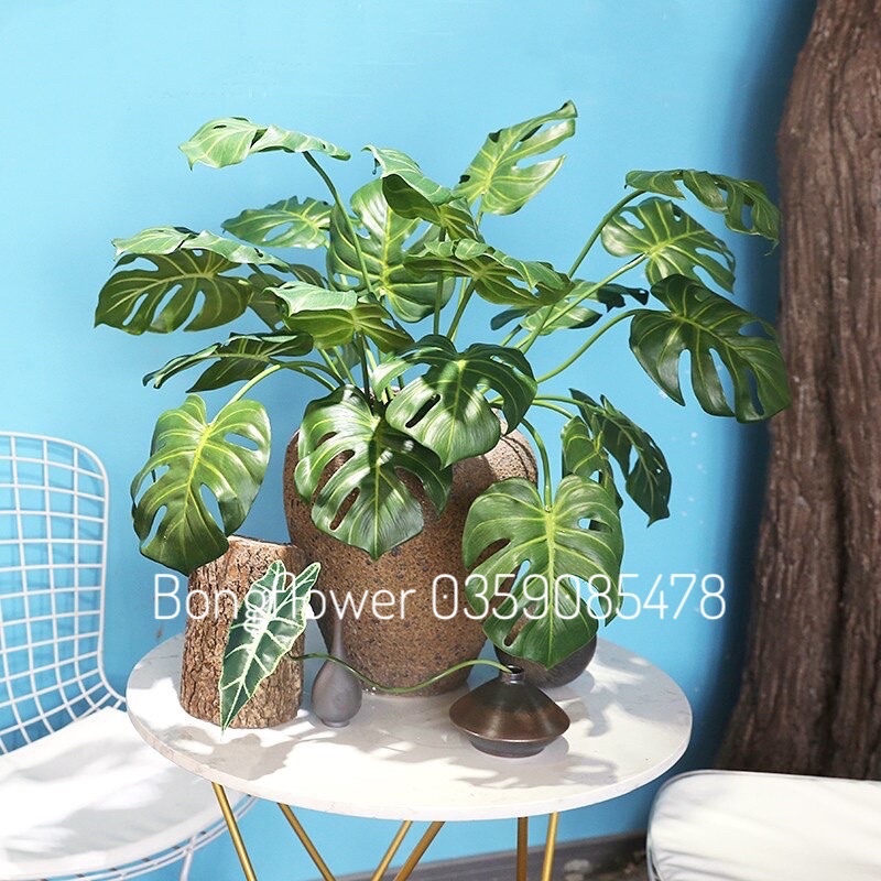 Cụm lá môn sọc siêu đẹp giống thật gần 100% cụm 7 lá cao 72cm