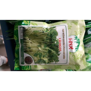Hạt giống rau mầm cải Ngọt 100g