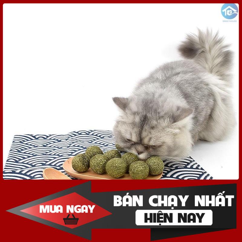 [❌GIÁ SỈ❌]  Đồ chơi Catnip Cỏ Bạc Hà cho Mèo Vui Vẻ 0 ❤️