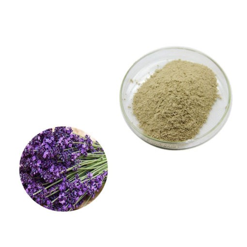 Bột hoa oải hương nguyên chất - True Lavender